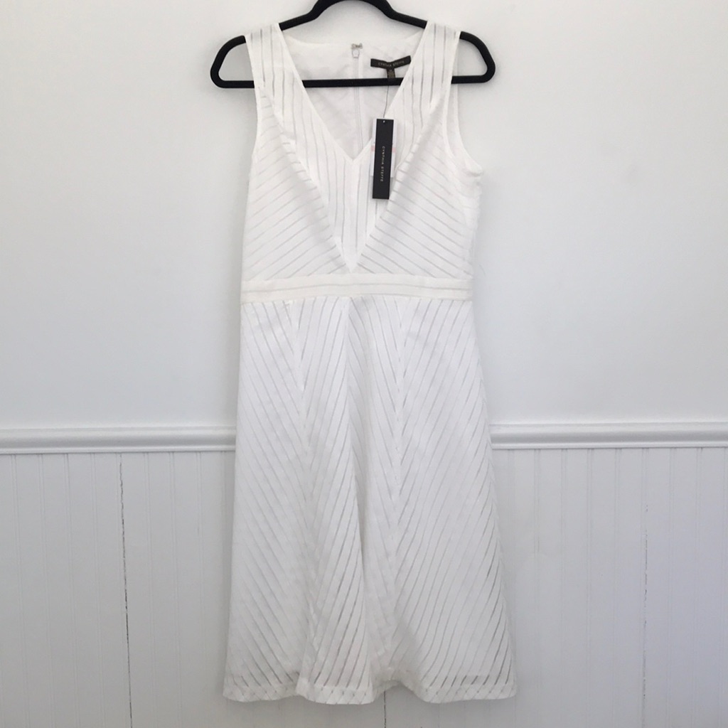 Brand New Cynthia Steffe Dress